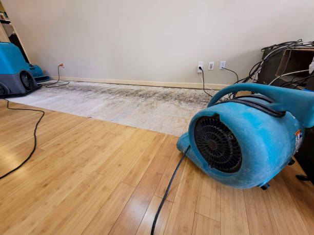 Professional Emergency Water Damage technician working in New Hope, AL